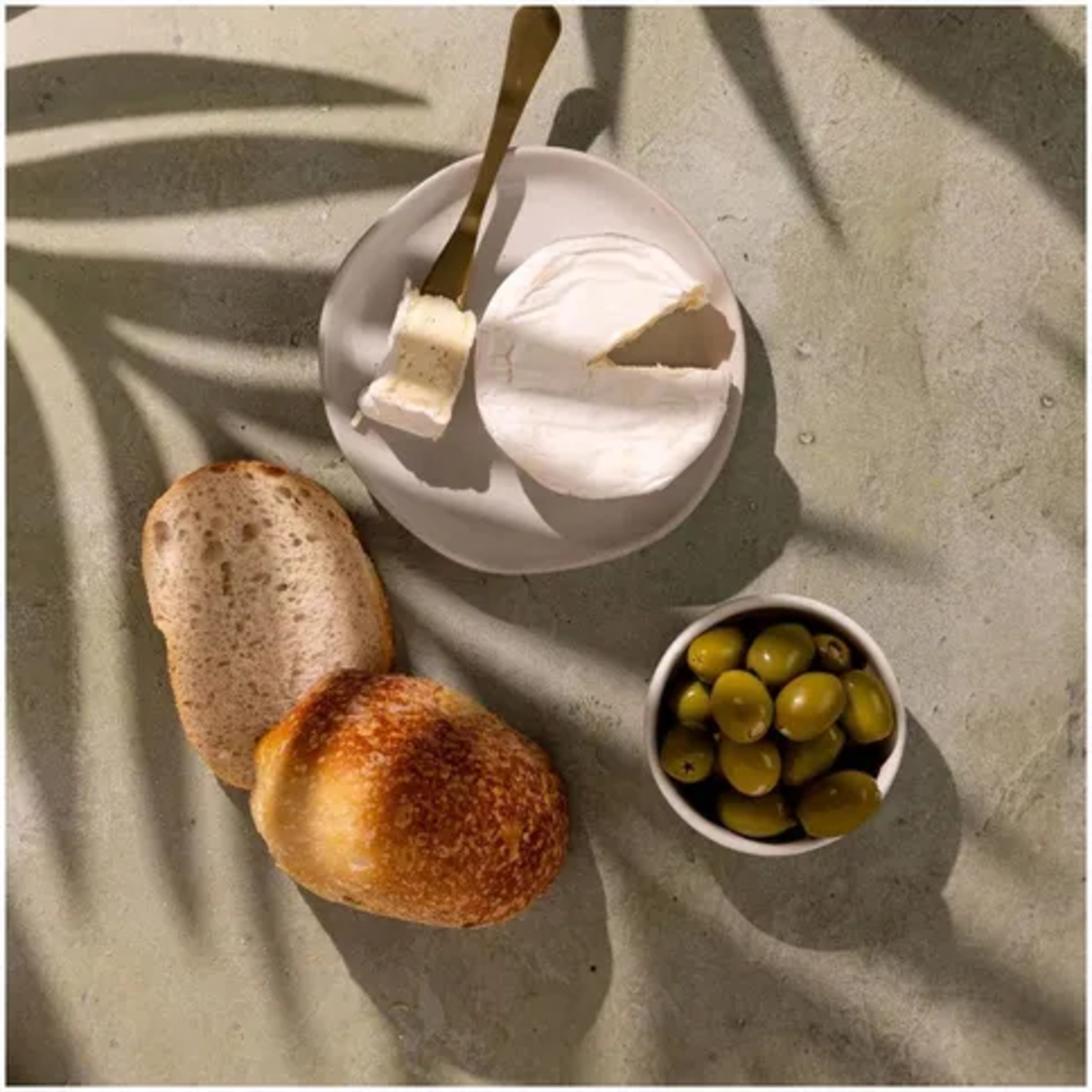 V-Flat World Shadow Board Palmblatt