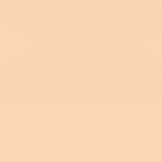 Lee Farbfilterfolie 54 x 61 cm Nr. 009 - Pale Amber Gold