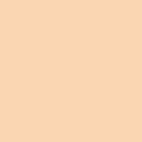 Lee Farbfilterfolie 54 x 61 cm Nr. 009 - Pale Amber Gold