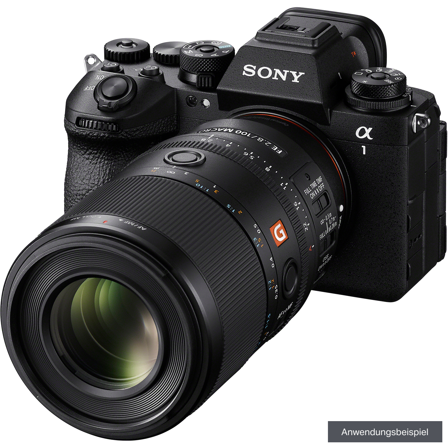 Sony FE 100mm F2.8 Makro GM OSS