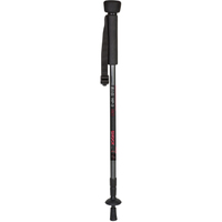 B.I.G. HP-3 Einbeinstativ Wanderstock Antishock
