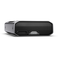 SanDisk G Drive Project 22TB