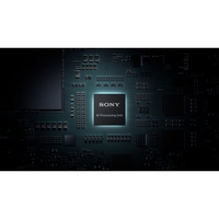 Sony HXR-NX800