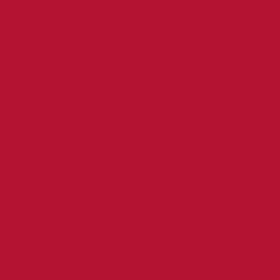 Calumet Hintergrundkarton Crimson (1,35 x 11m Rolle)