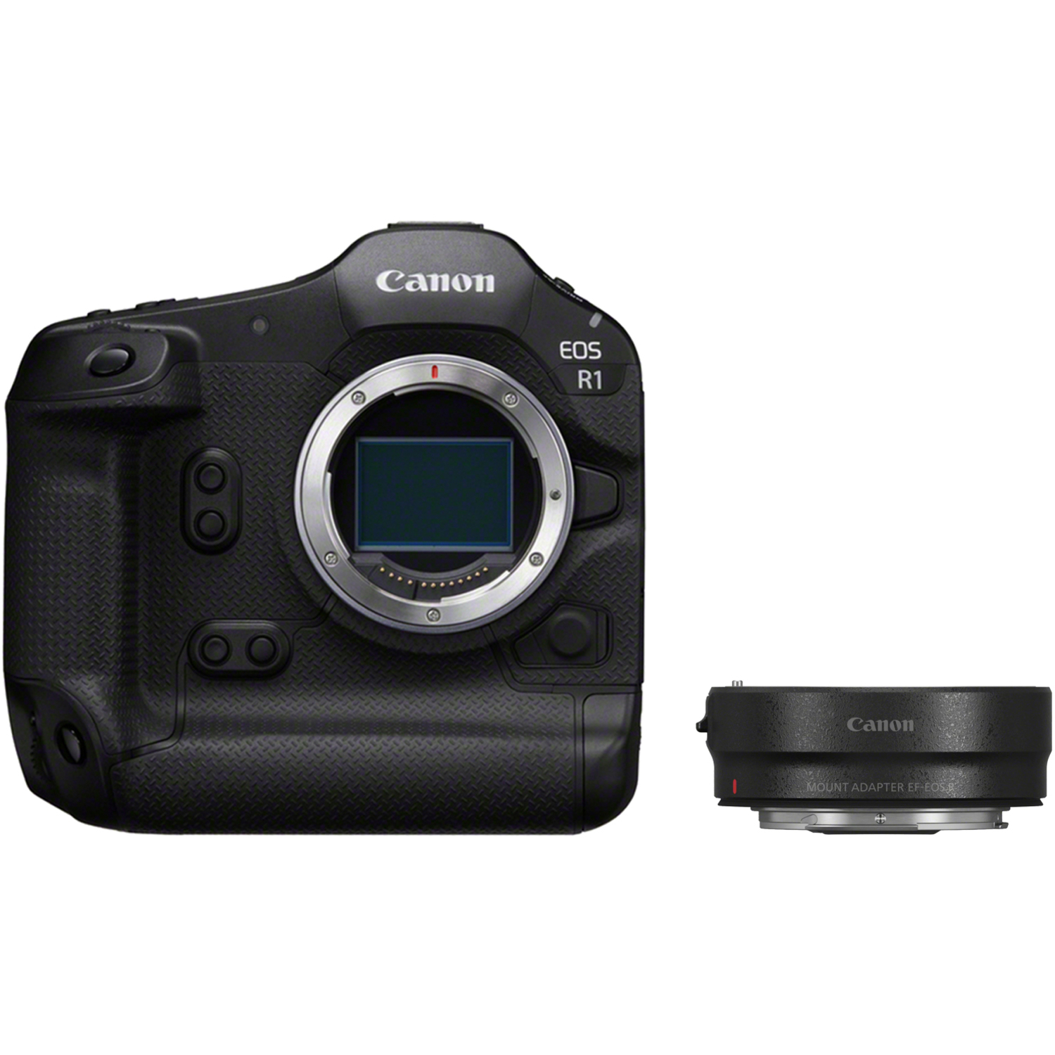 Canon EOS R1 mit Bajonettadapter EF-EOS R