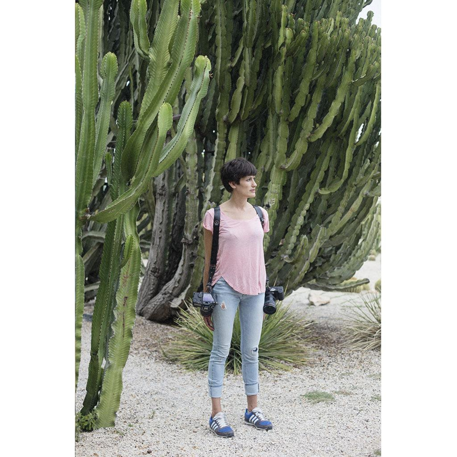 Bronkey Doppel-Kameragurt Berlin #501 Leder schwarz