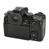 Panasonic LUMIX DC-G9II gebraucht