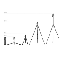 SmallRig Stativ FreeBlazer CT195 4307