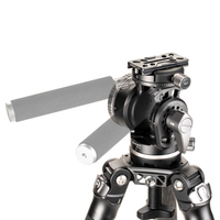 Benro Mammoth Carbon Stativ mit Stativkopf WH15
