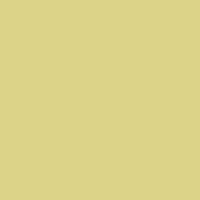 Calumet Hintergrundkarton Tropical Green (1,35 x 11m Rolle)