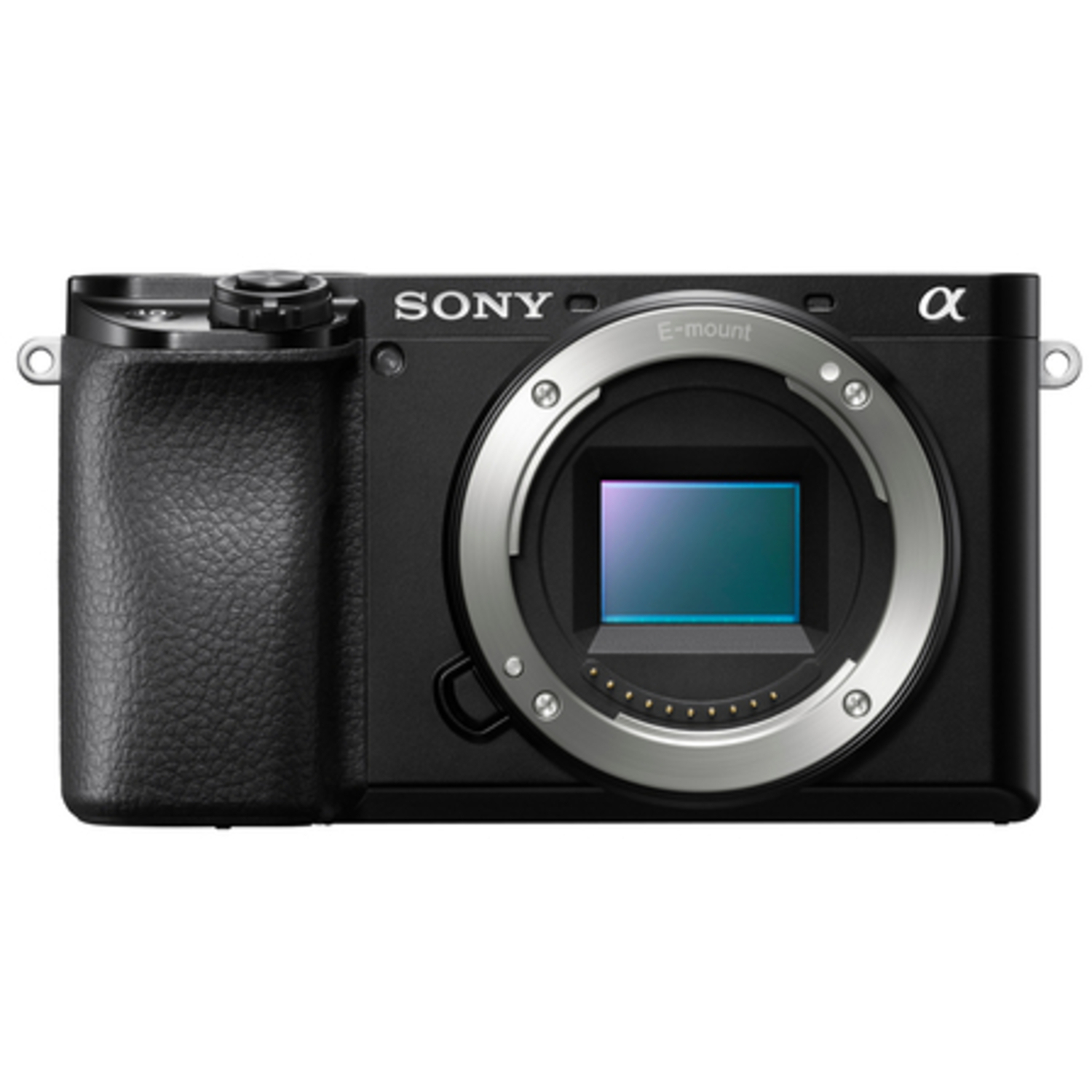 Sony Alpha 6100A mit E PZ 16-50mm F3.5-5.6 OSS II und E 55-210mm F4.5-6.3 OSS