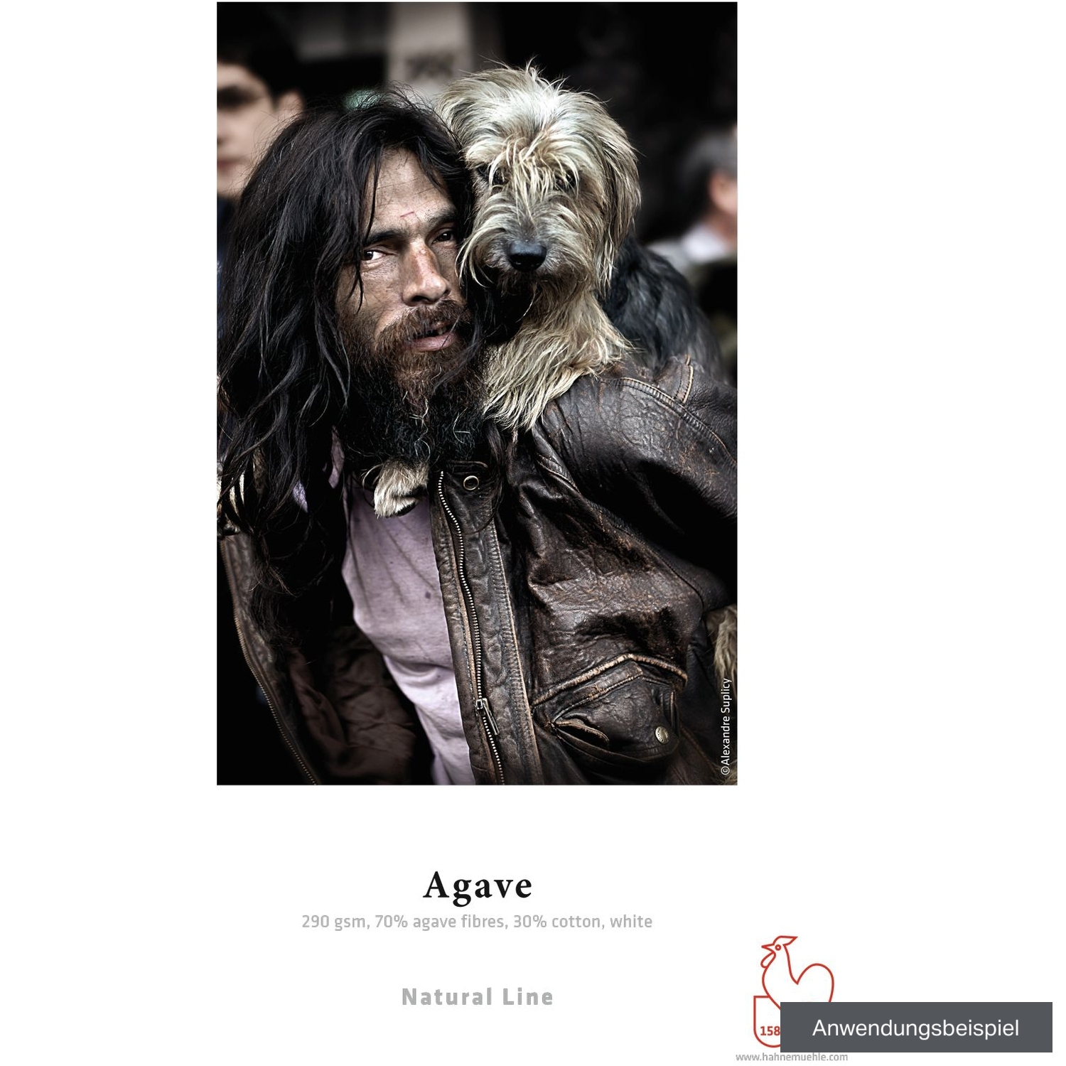 Hahnemühle Agave 36" x 12m 290g/m² Rolle