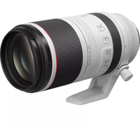 Canon RF 100-500mm F4.5-7.1L IS USM neuwertiger Rückläufer