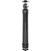 Vanguard Carbonstativ mit Kugelkopf ALTA PRO 3 263CLBPS