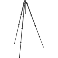 Manfrotto Befree GT PRO Carbon-Stativ ohne Kopf