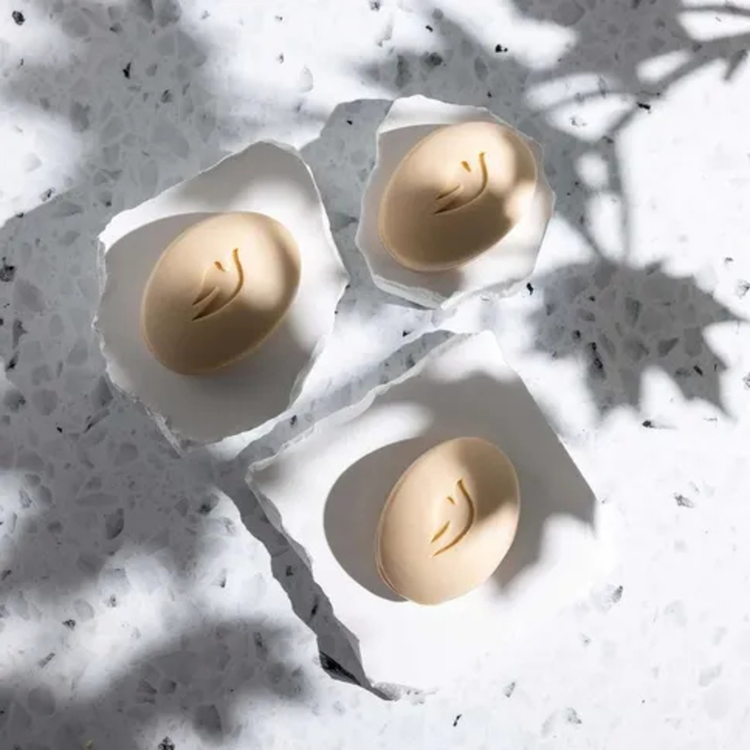 V-Flat World Shadow Board Ahornblätter