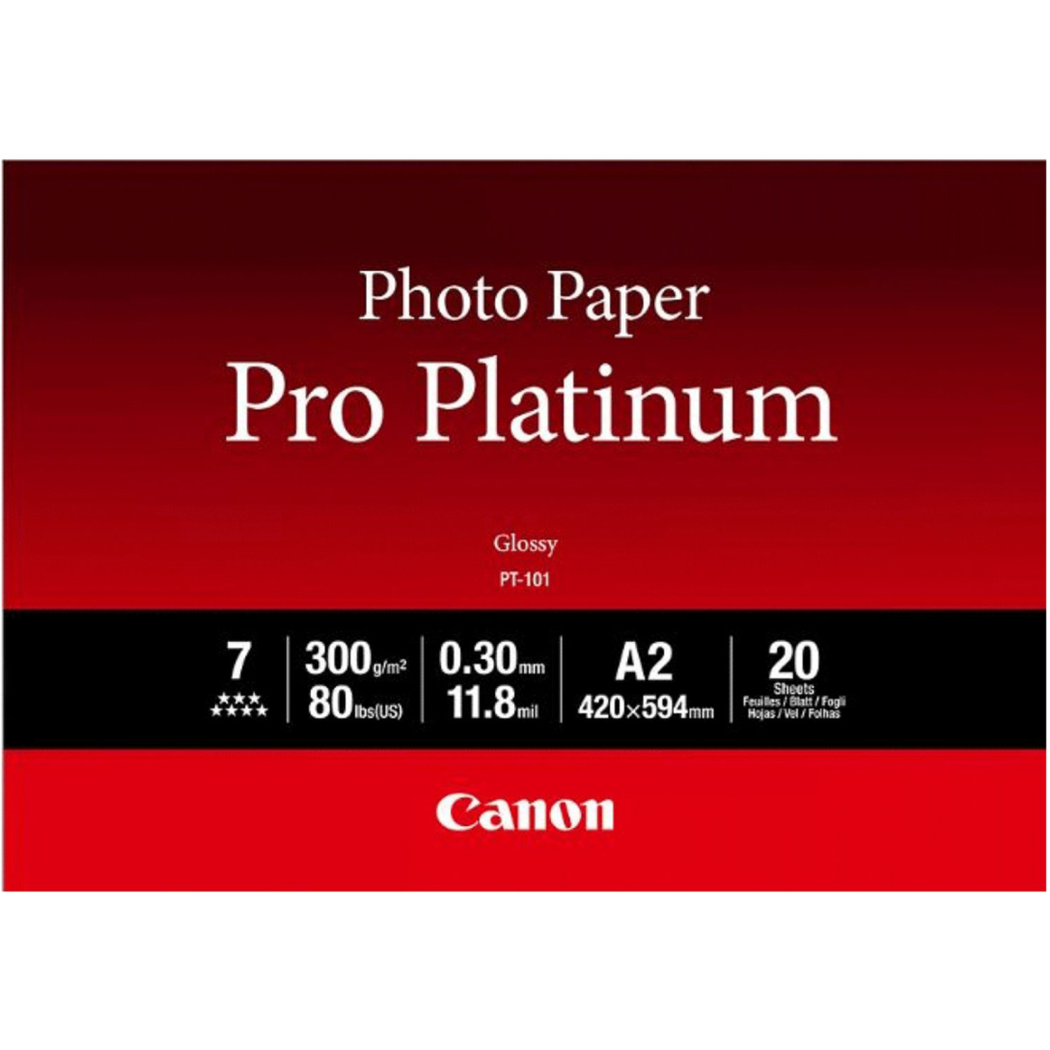 Canon Pro Platinum Glossy PT-101 A2 20 Blatt 300g/m²