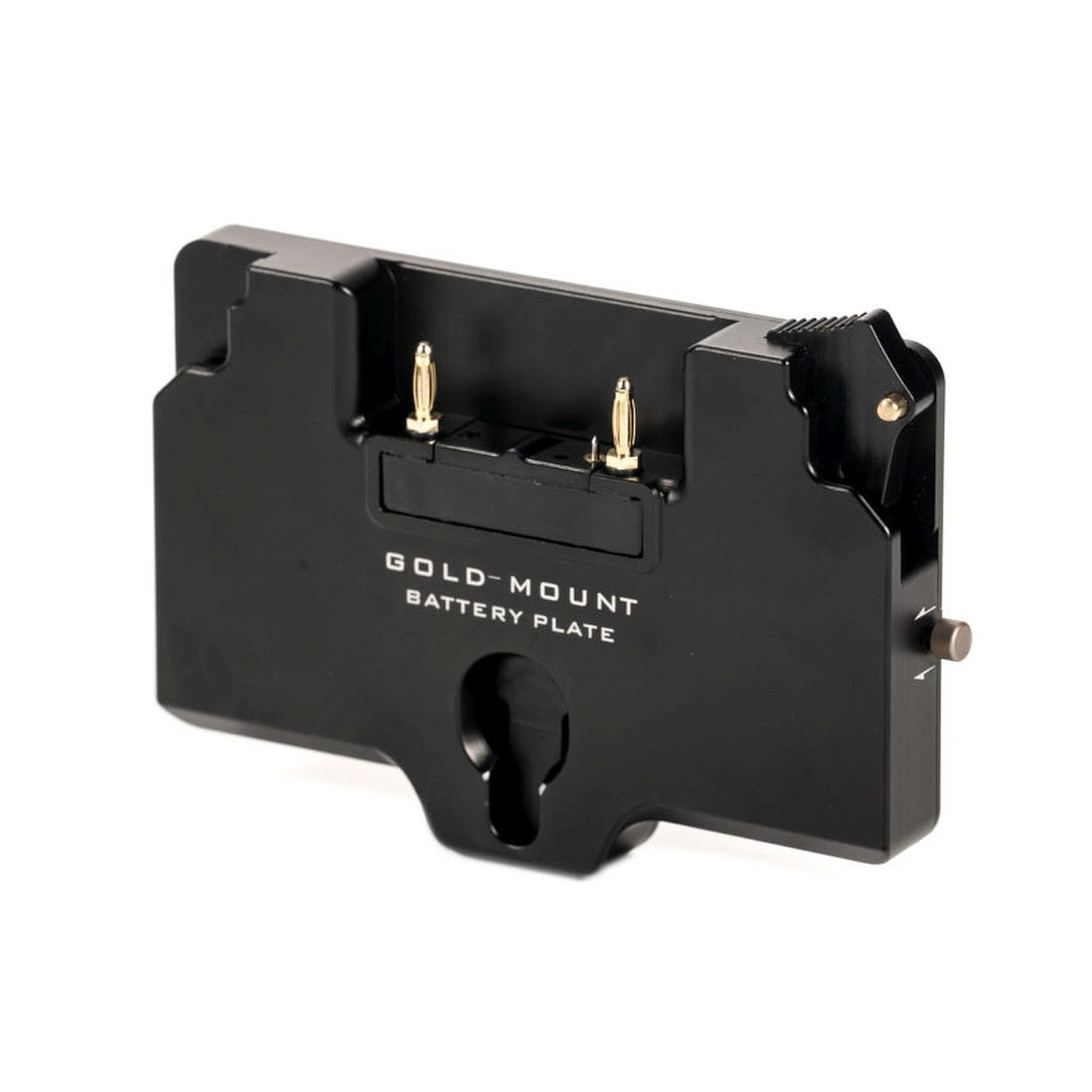 Tilta TGA-PPP-AB Batterieplatte für RS 2 Power Pass-through Plate - Gold-Mount