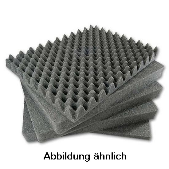 Explorer 3317 Schaumstoff Einsatz für WT796