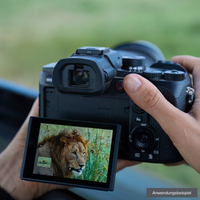 Sony RX10 V