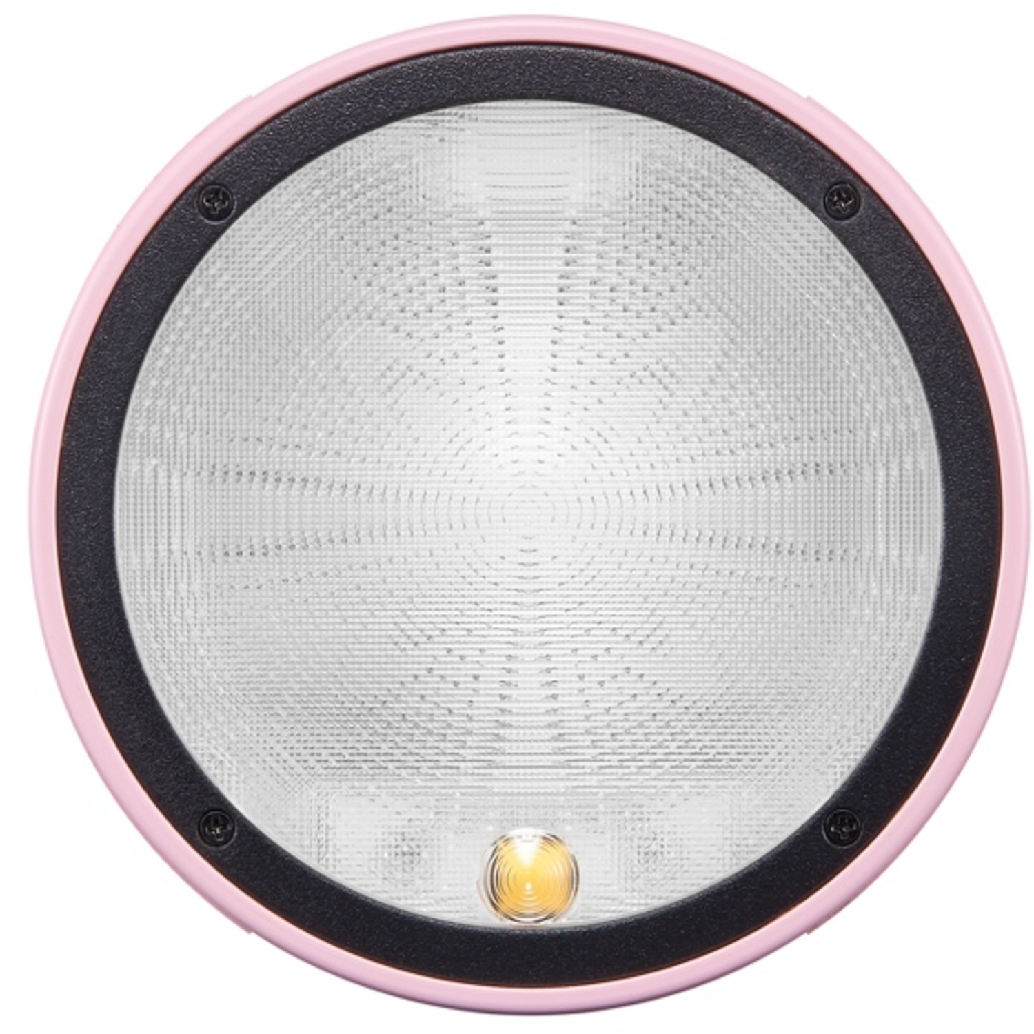 Godox Witstro AD100Pro Pink