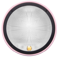 Godox Witstro AD100Pro Pink