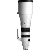 Sigma 300-600m F4 DG OS Sports für L-Mount