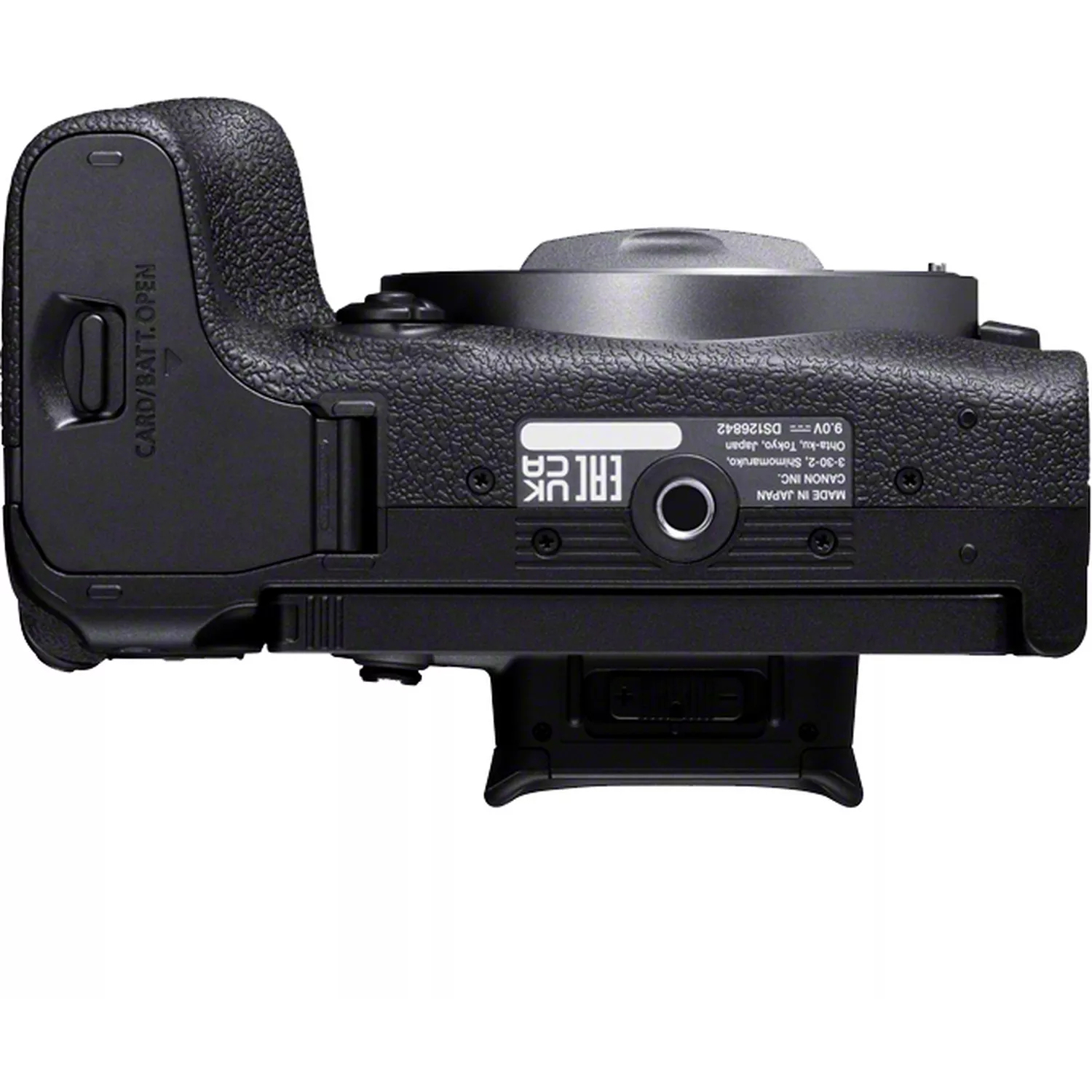 Canon EOS R10 mit RF-S 18-150mm F3.5-6.3 IS STM ohne Adapter