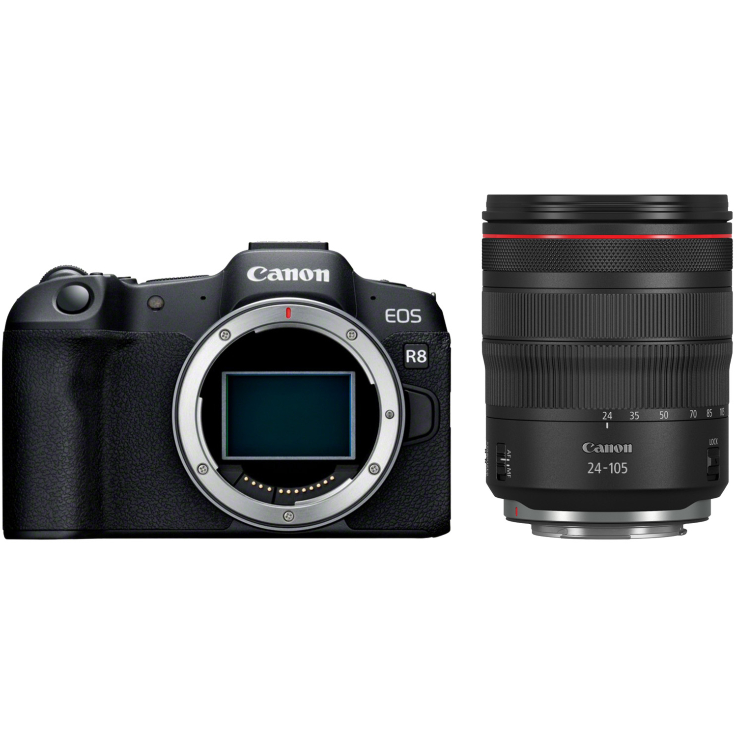 Canon EOS R8 mit RF 24-105mm F4L IS USM