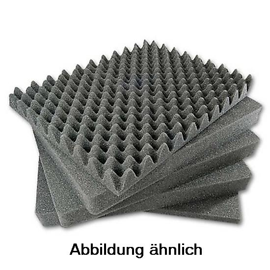 Explorer 5117  Schaumstoff Einsatz für WT1469