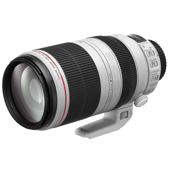 Canon EF 100-400mm F4.5-5.6L IS II USM