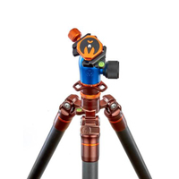 3 Legged Thing Pro 2.0 Winston mit Kugelkopf AirHed Pro bronze