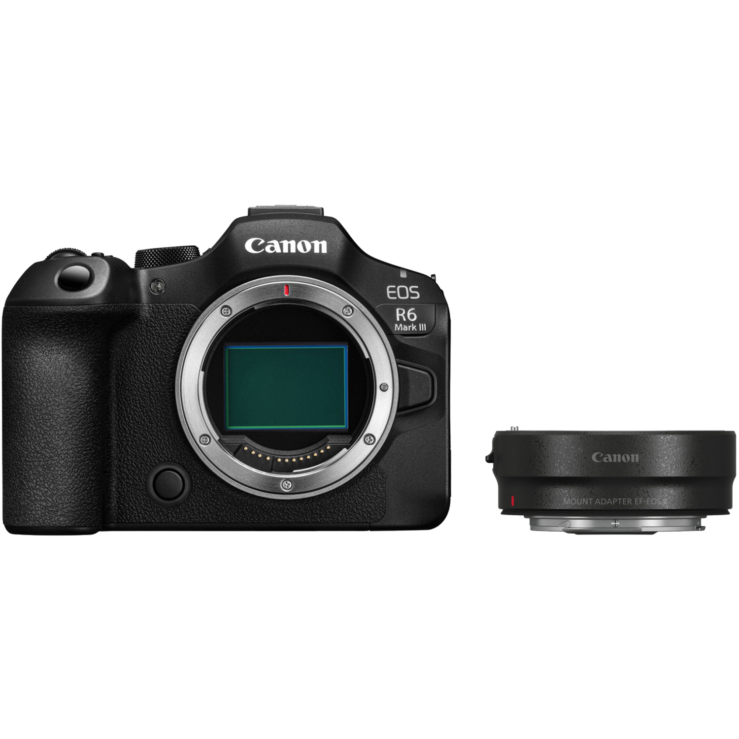 Canon EOS R6 Mark III mit Bajonettadapter EF-EOS R 