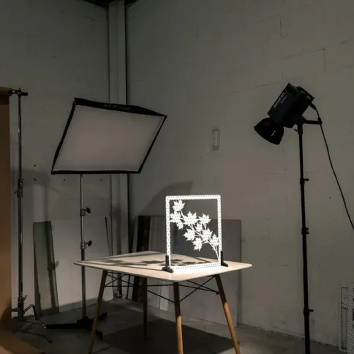 V-Flat World Shadow Board Ahornblätter