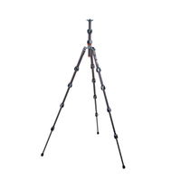 3 Legged Thing Pro 2.0 Leo Carbon grau