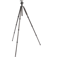 B.I.G. TMC-1300 CARBON 2in1 Stativ mit Kugelkopf BS-1300